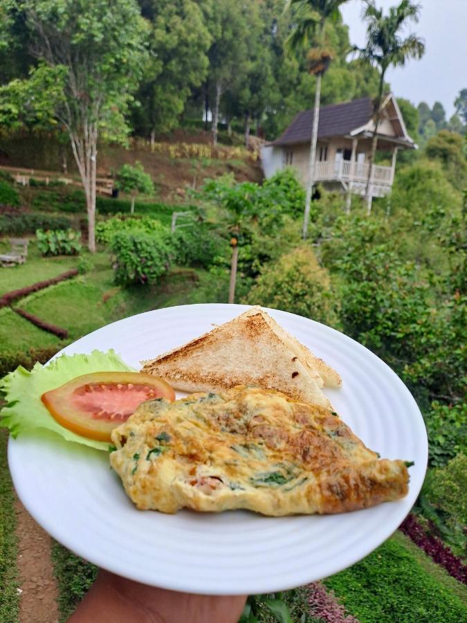 Garden Terrace Bali Bed & Breakfast Gobleg  Dış mekan fotoğraf