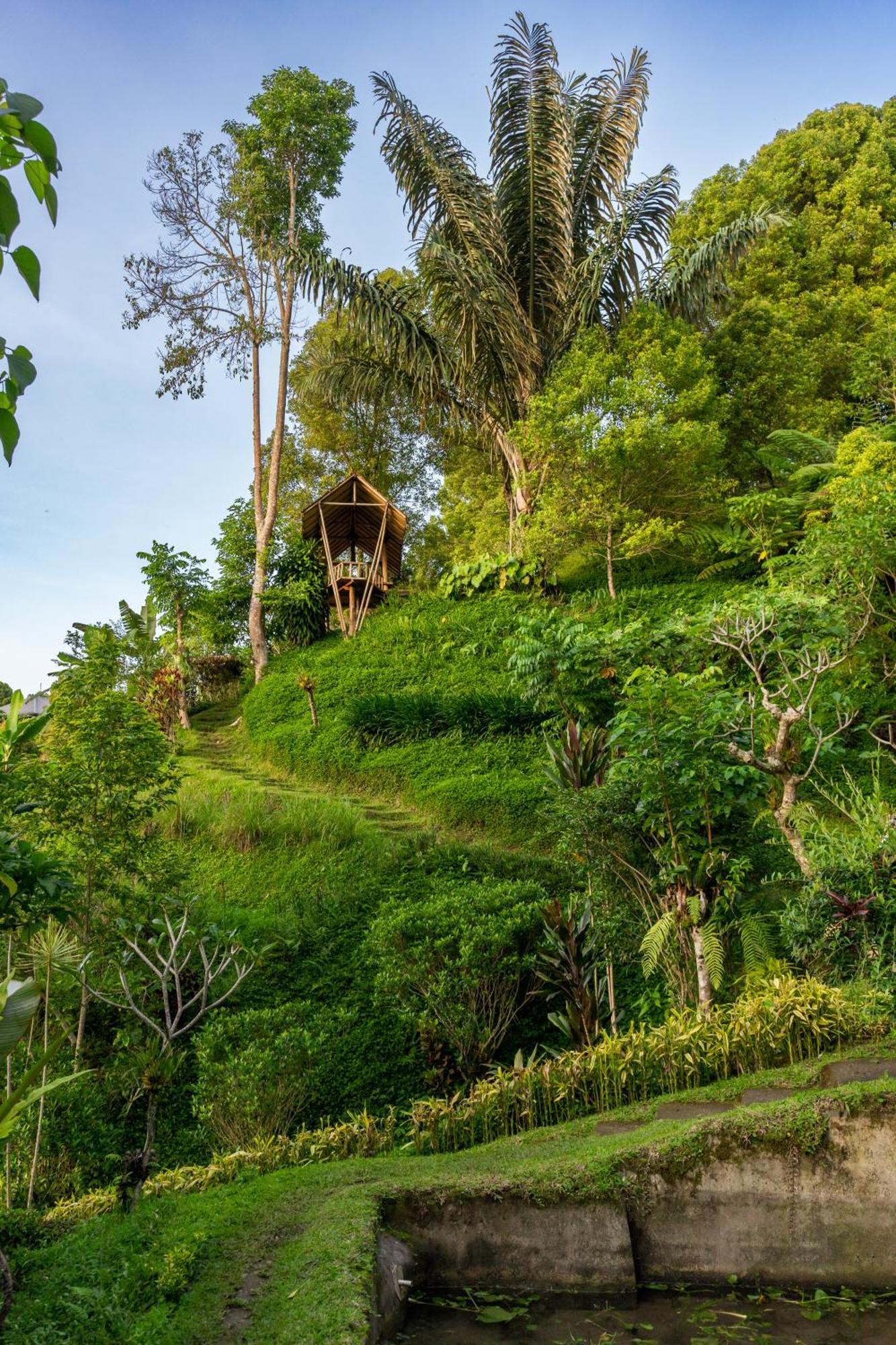 Garden Terrace Bali Bed & Breakfast Gobleg  Dış mekan fotoğraf