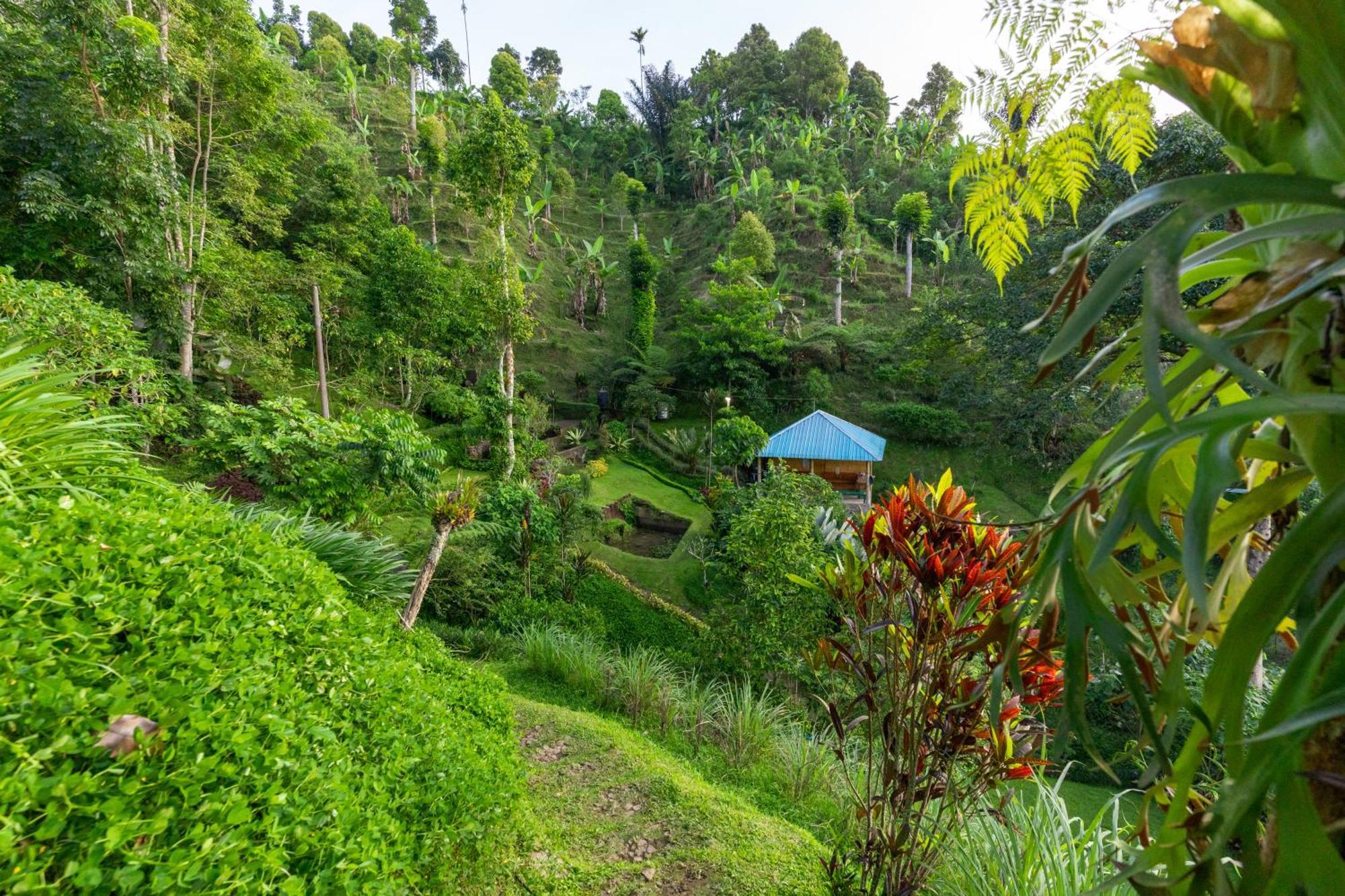Garden Terrace Bali Bed & Breakfast Gobleg  Dış mekan fotoğraf