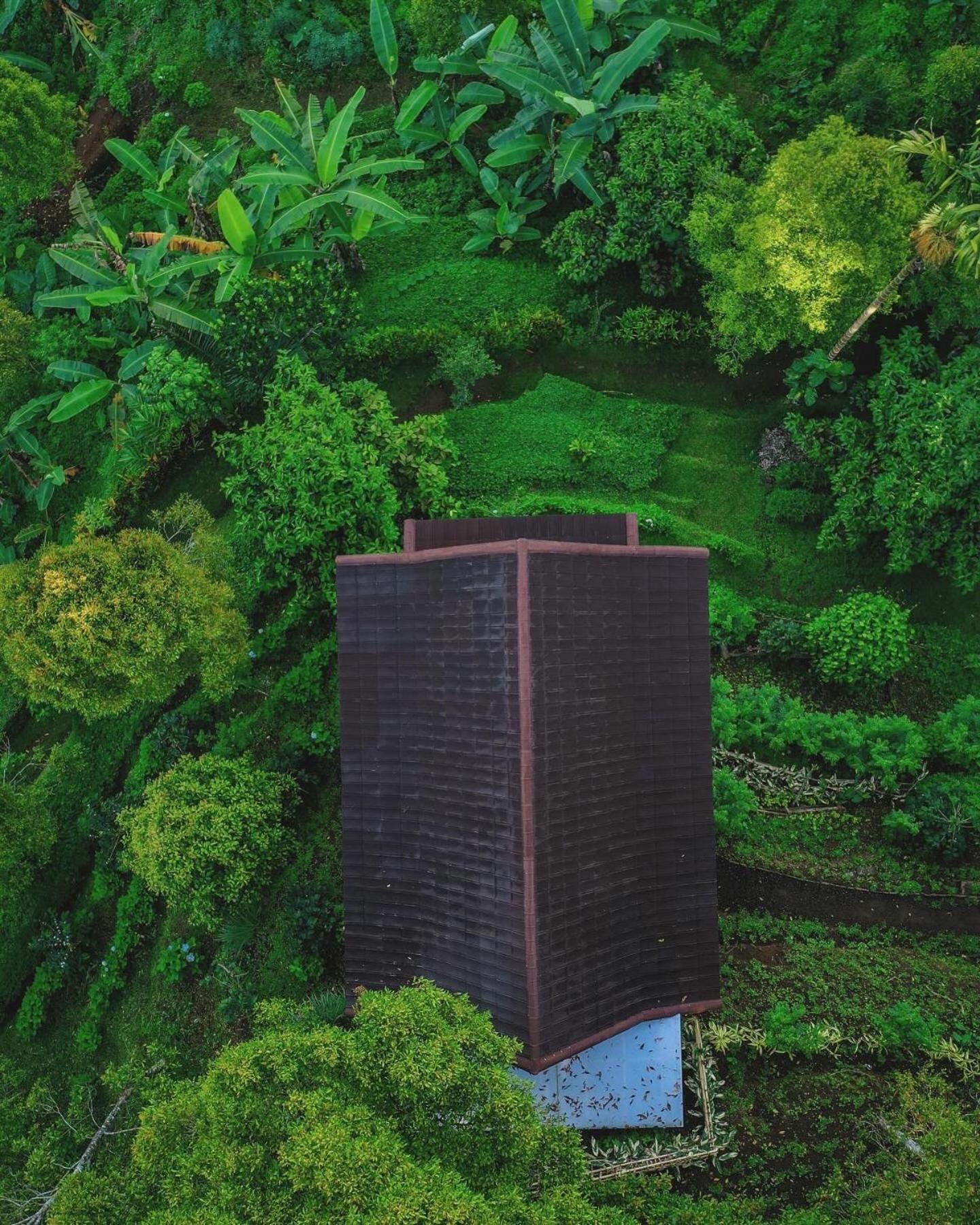 Garden Terrace Bali Bed & Breakfast Gobleg  Dış mekan fotoğraf