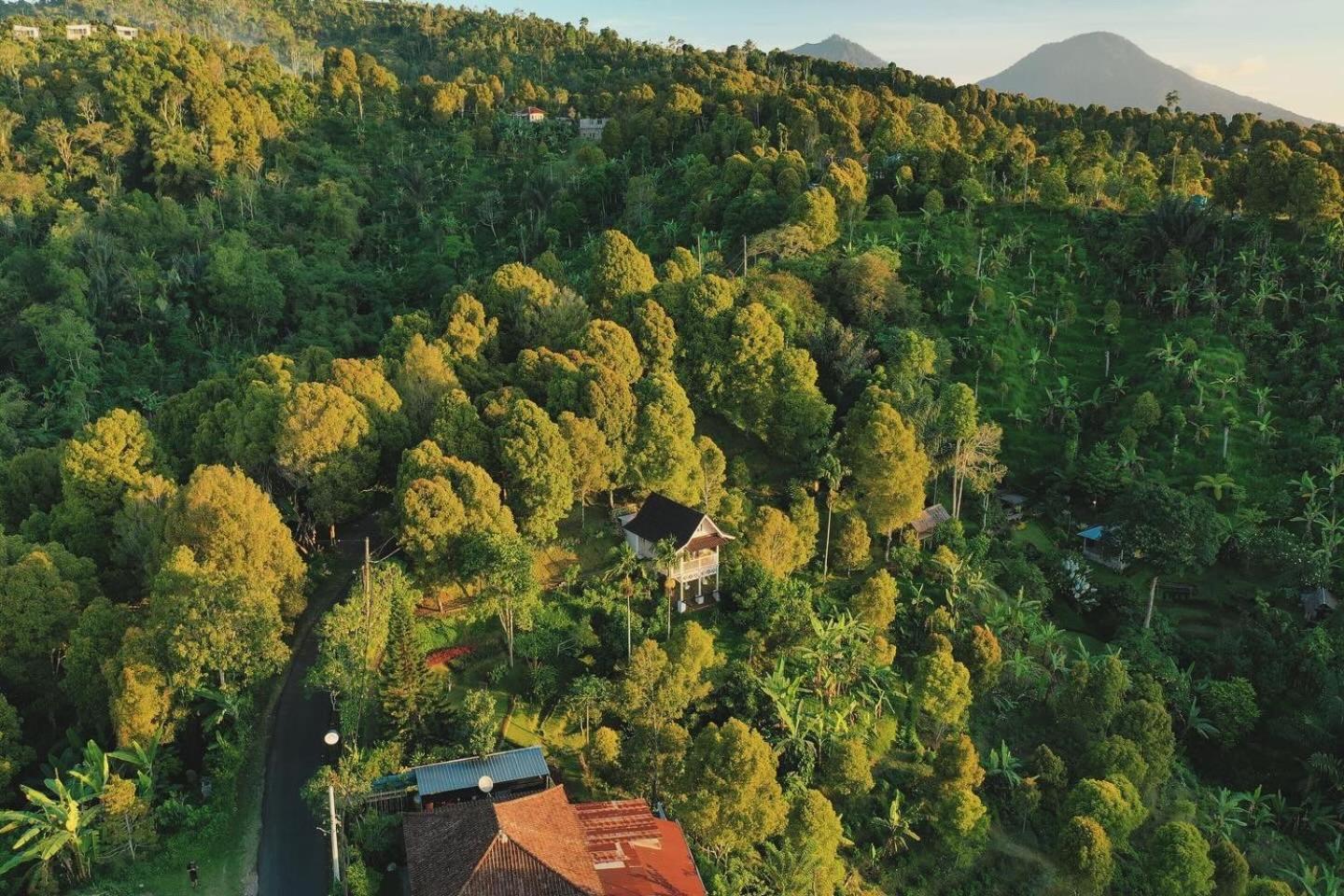 Garden Terrace Bali Bed & Breakfast Gobleg  Dış mekan fotoğraf
