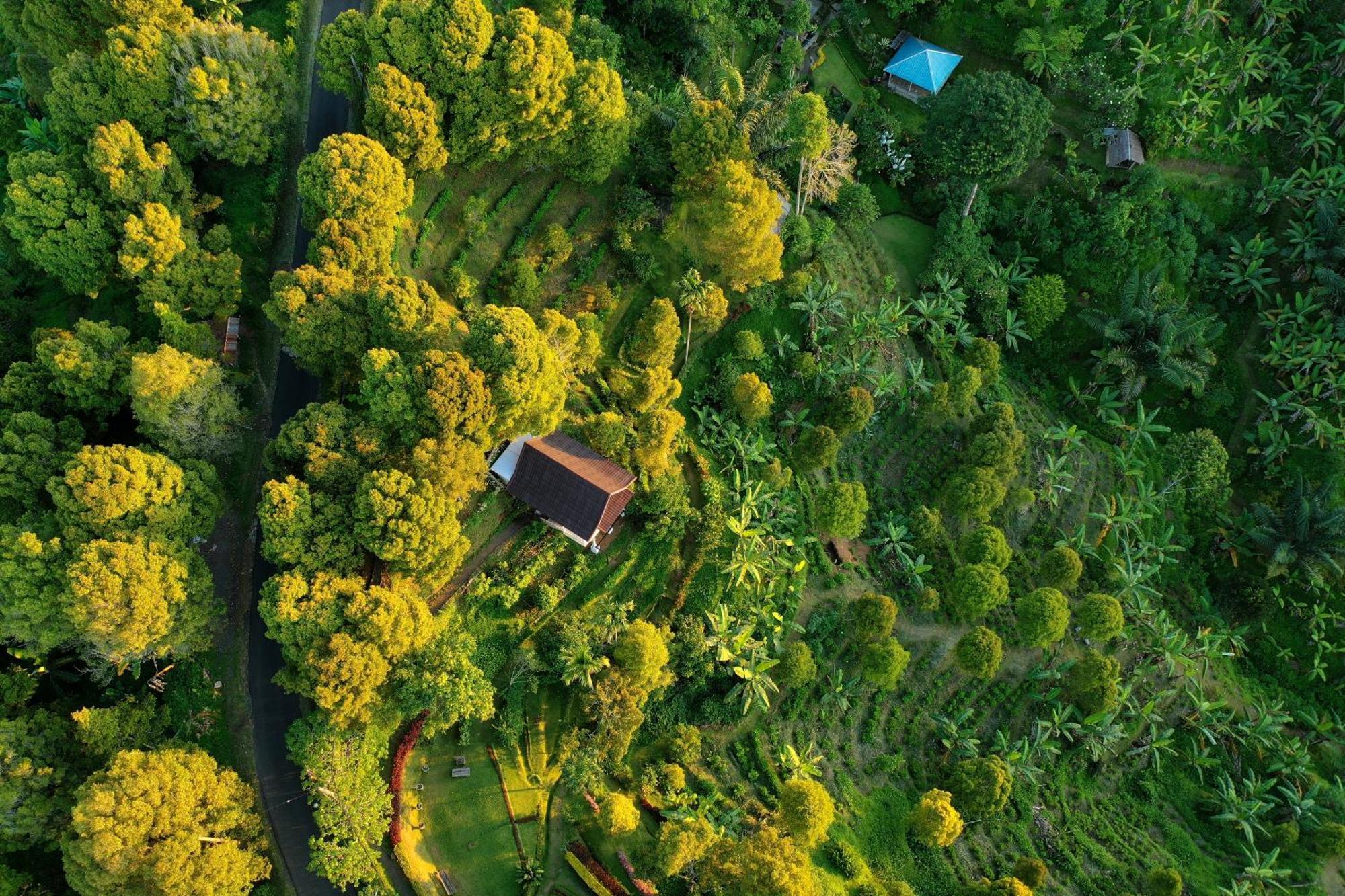 Garden Terrace Bali Bed & Breakfast Gobleg  Dış mekan fotoğraf